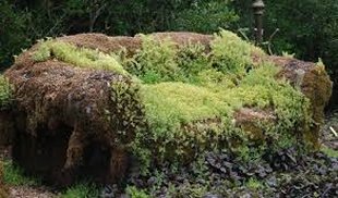 sitting stump